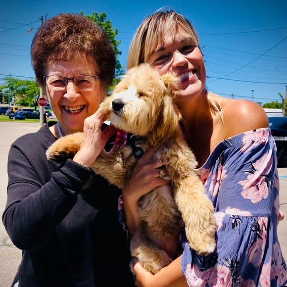 Meet your Posher, Sarah - Picture 8 of 9